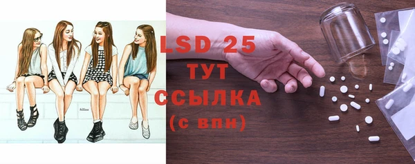 твердый Ельня