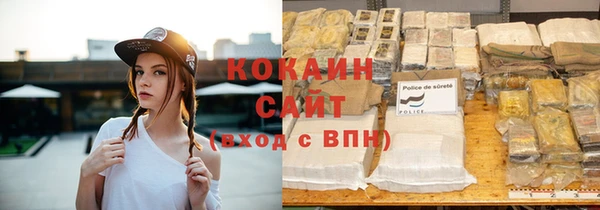 твердый Ельня