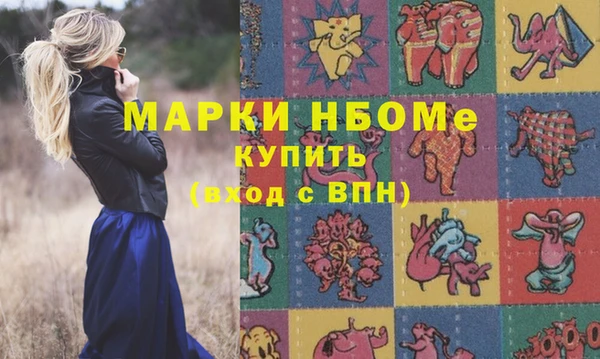 твердый Ельня