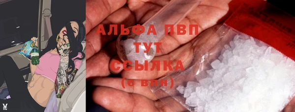 твердый Ельня