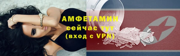 твердый Ельня