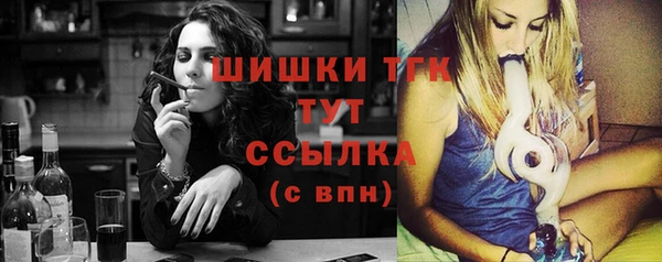 твердый Ельня
