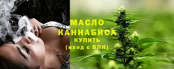 твердый Ельня