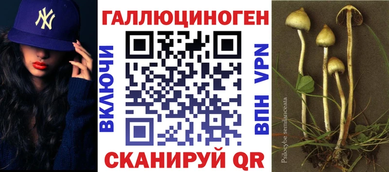Псилоцибиновые грибы Cubensis  Купить где  Тавда 